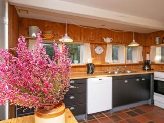 Three-Bedroom Holiday home in Blåvand 85 - Blåvand - 7