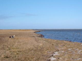 6 person holiday home in Harboøre-By Traum - 1