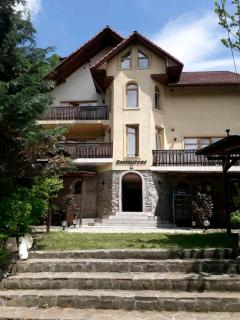 Vila Iulia - Vatra Dornei - 5
