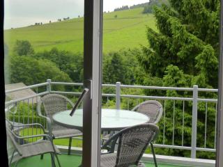 Chalet in Willingen by Ski Slope & Diemelsee - Willingen - 6