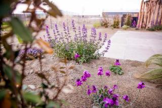 Vakantiehuisje Pluim 4 personen - Zeezand Recreatie - Stolpen - 5