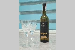 Апартаменти в центрі Мукачева - 4