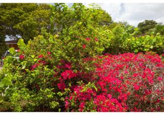 Piscadera Bay Resort 23 - 5