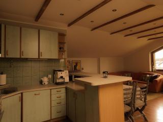 apartament pod lasem - 5