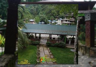 Rain Forest Guest House and Jungle Trekking - Bukit Lawang - 4