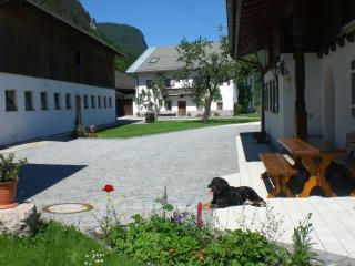 Bild 8