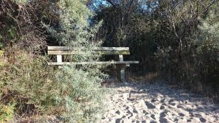 Ferienwohnung Hummelflug OFC 01 - 1