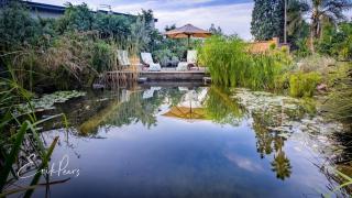 Shepherd's Corner Guest House - Joanesburgo - 9