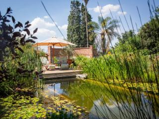 Shepherd's Corner Guest House - Joanesburgo - 8
