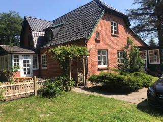 FeWo-Zingst - Prerow - 9