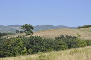 La Colombera in Toscana - Roccalbegna - 3