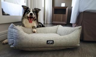 Holiday Inn Belo Horizonte Savassi by IHG - 3