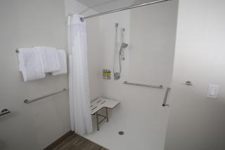 Holiday Inn Omaha Downtown - Waterpark by IHG - Omaha - 2