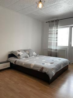 Gray Apartment for couples - Timişoara - 6
