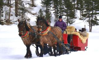 Hotel Roseg-Gletscher - Pontresina - 5