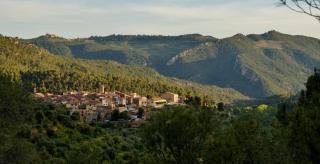 Casa la Canal - Cabacés - 0