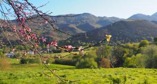 Hotel Rural El Otero - La Borbolla - 9