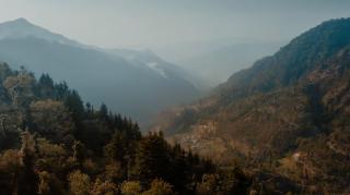 Camp O Royale - Dhanaulti - 1