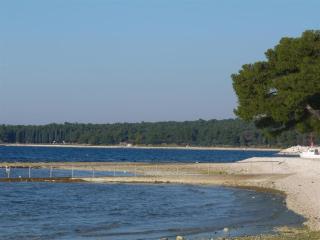 Lovely Fazana apartments 400m from the sea - Fažana - 1