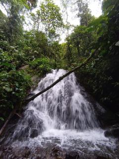 Mindo Eco Chalet con Rio y Cascada - Mindo - 8