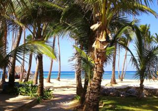 Apartamento Deluxe para Parejas en Punta Cana - Punta Cana - 2