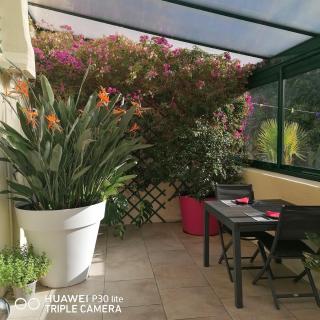 Le patio d'olivier - Lalinde - 9