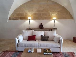 Les Canisses, magnifique appartement avec terrasse au cœur d'Uzès - Uzès - 2