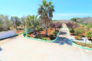 Trilocale vicino al mare con grandissimo spazio esterno - Torre San Giovanni Ugento - 0