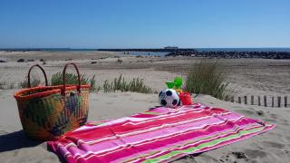 Appartement 2 Pièces Vue Piscine plage Richelieu CAP D'AGDE - 1