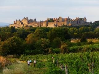 la maison des chapeliers - Carcassonne - 5
