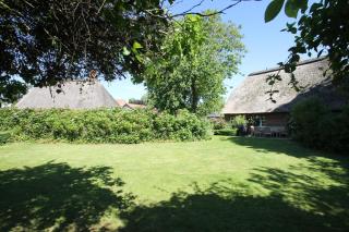 1100 - Designer-Reetdach-Kate - Riepsdorf - 1