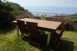 Azalea - Recco - 6