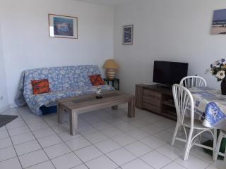 Appartement 1ère ligne très belle vue mer Rochelongue Cap d'Agde - Cap d'Agde - 8
