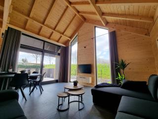 Chalet met Sauna en Airconditioning - Sint Annaland - 4