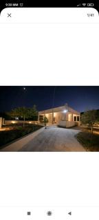 AMMOS - Salamis - 9