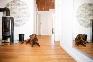 Elli´s Hus - Loit - 5