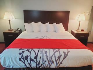 Blackstone Lodge and Suites - Lead - 9