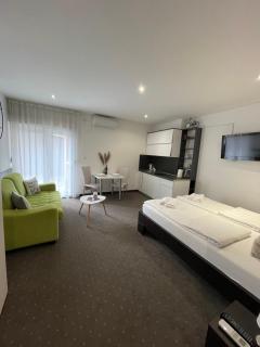Apartments & Rooms Villa Zaad FREE PRIVATE PARKING - Mostar - 8