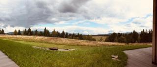 Beechtree Property - 8