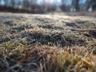 Vittorio, en Llohue - 3