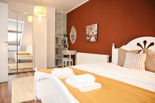 The View Penthouse - Braşov - 1