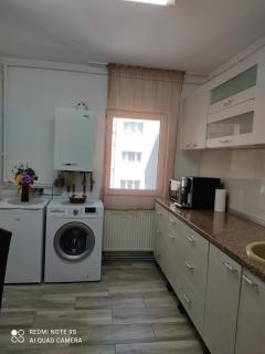 Apartment Farmec - Cluj-Napoca - 1