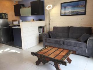 Appartement rez de jardin et garage privé - 7