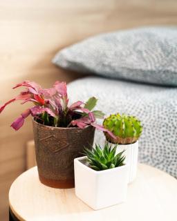 Panta Rei - Alghero - 4