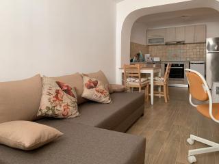 Casa Carol - Braşov - 8