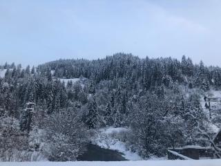 Cabana Felyviss - Gârda de Sus - 7