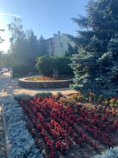 Fontan - Chornomorsk - 5