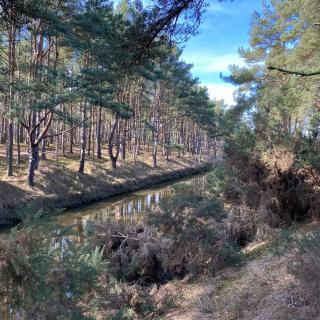 Beachfront Lodge, Lossiemouth Bay - 3