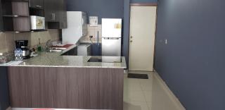 Apartment-Suite Guatemala City - 4