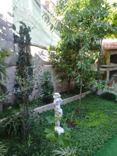 Apartments Dijana - Budva - 6